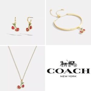 NEW! Complete Set Coach Heart Cherry Pendant Necklace, Earrings, Slider Bracelet